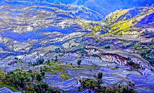 童心童眼作品：元阳梯田