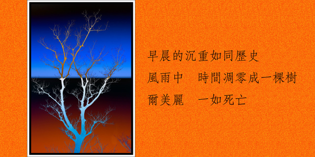 hill2010作品：诗*一种思念
