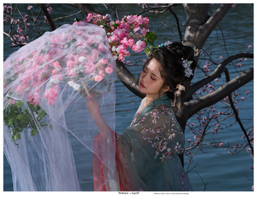 sunge作品：春天里的花