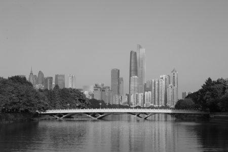 深海龙趸作品：远望，广州都市群楼
