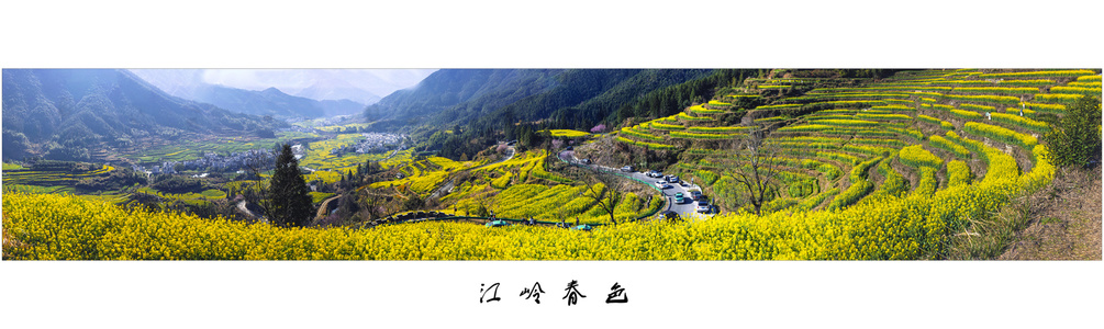 安徽老玉米作品：《江岭春色图》