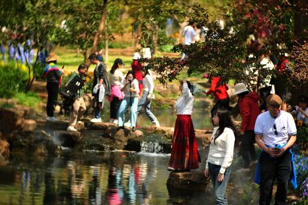 qichengli作品：中山植物园春色
