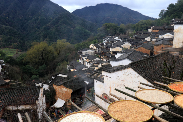 feitianzhishen作品：篁岭目前最佳打卡地