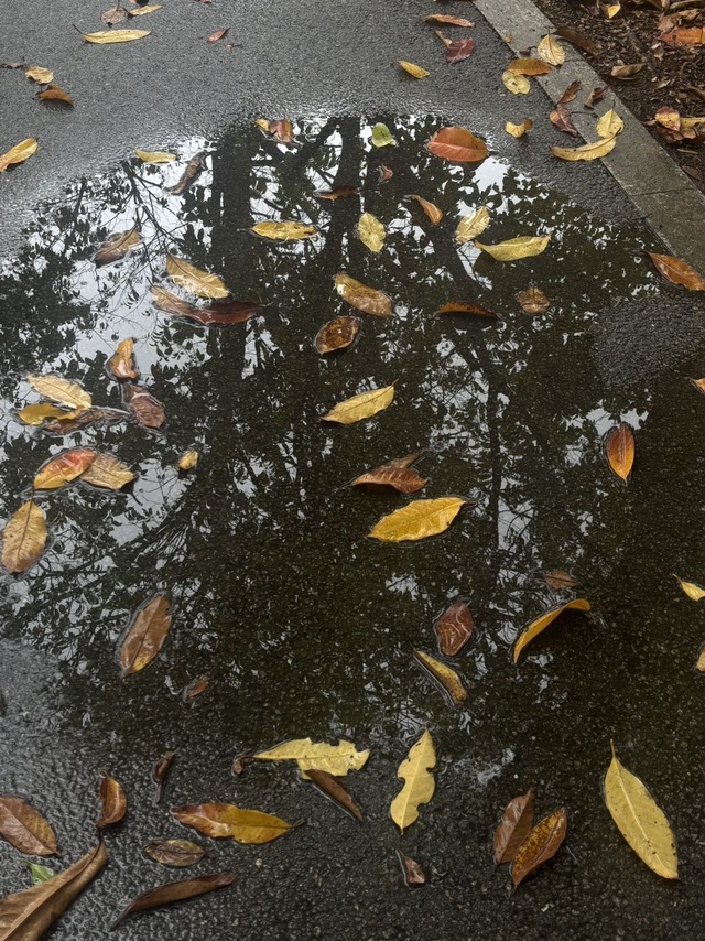 云天虹霓作品：《水浅倒影深》