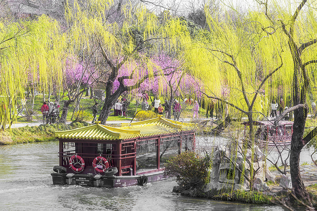 素月银河作品：出门俱是看花人