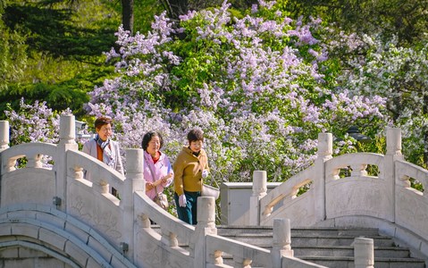 老拾作品：一路芬芳
