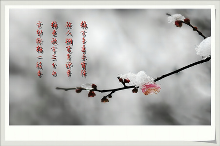 军刀王作品：寒梅迎春