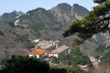 军刀王作品：黄山归来不看山