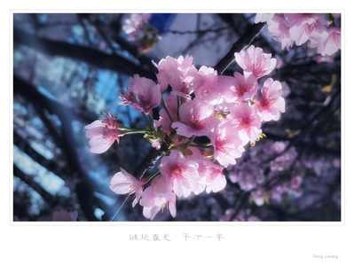 peitty作品：春分