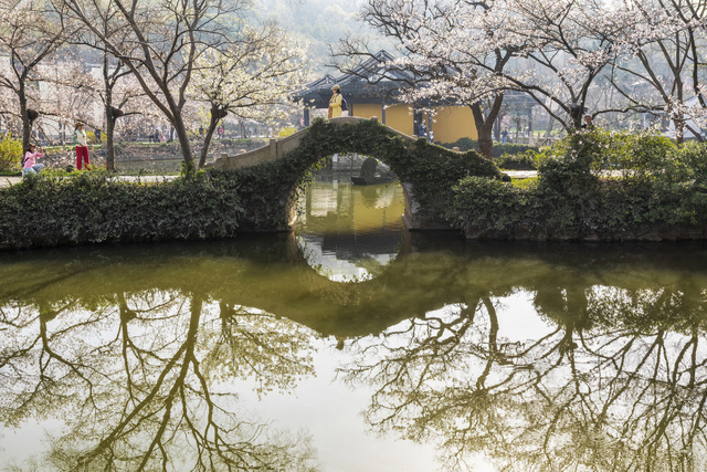 素月银河作品：樱花胜境（二）