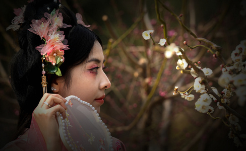 羽佳518作品：古装人像摄影 7