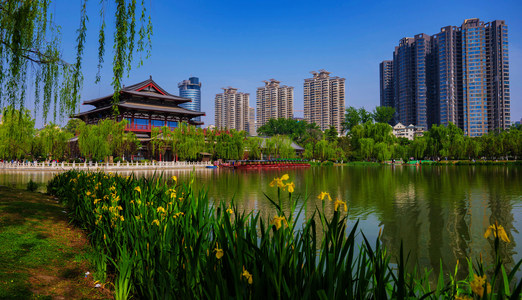 羽佳518作品：我看见的风景  1