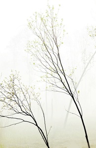老拾作品：早雾