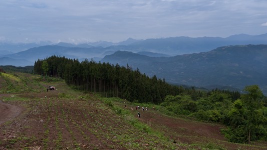 弈天作品：大山里的劳作