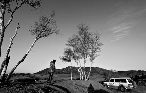 张爱岳作品：秋