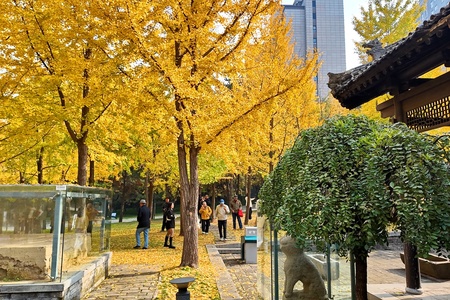 齐秦作品：秦二世陵