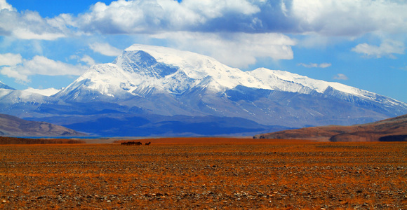 孟辉作品：我从雪山走来