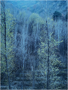 chcgjyf作品：长城脚下