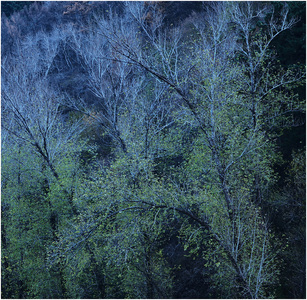 chcgjyf作品：秋的色彩