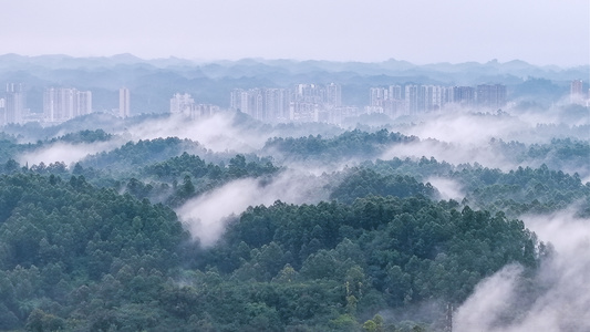 翰雅589作品：《晨雾》