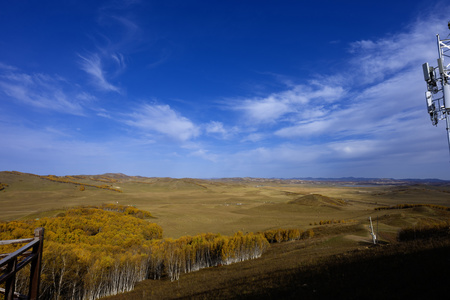 权修作品：乌兰布秋季