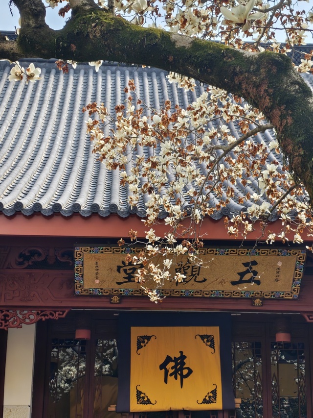邂逅好运气作品：花开见佛