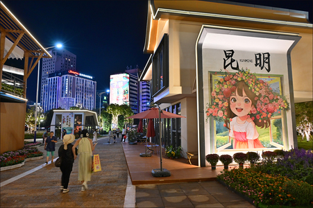 5147作品：春城夜色 / 随拍街景