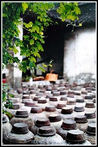 溪南雨作品：酒乡