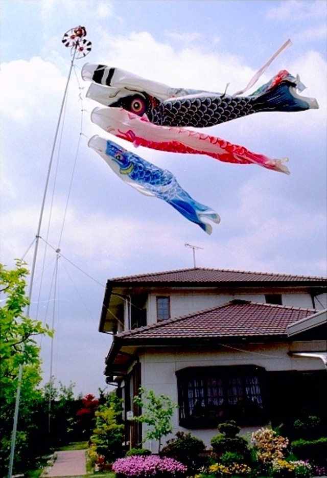 作品：鲤鱼登高