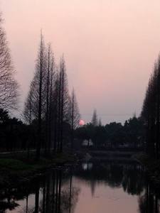 8866作品：夕阳