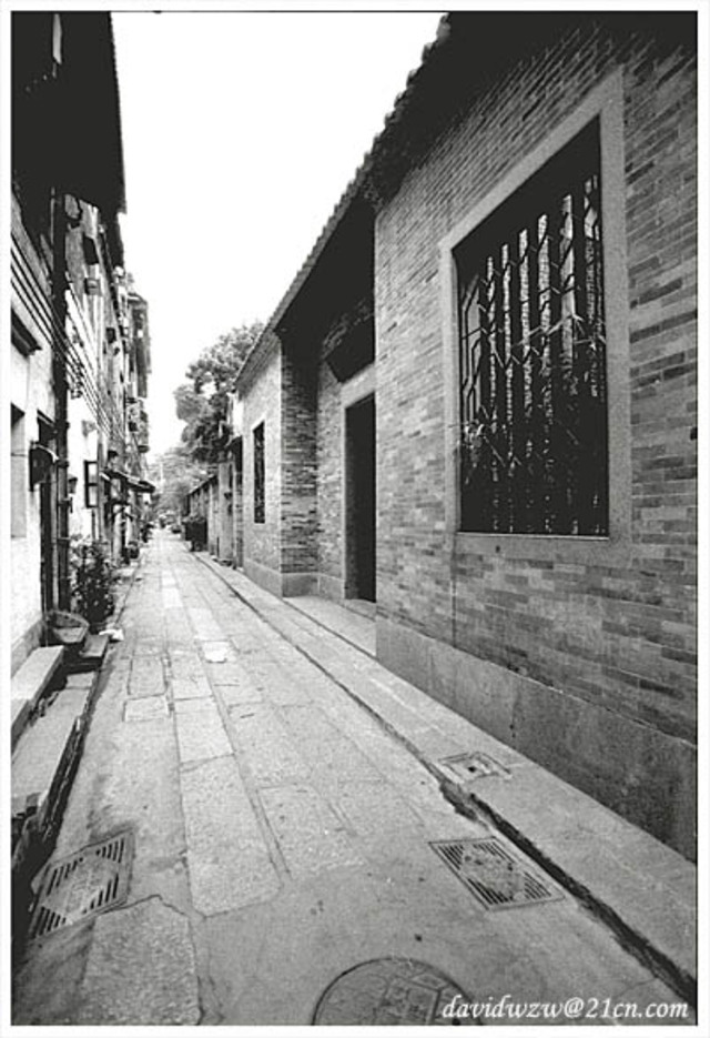 大卫独夫作品：西关故事2.大屋小巷