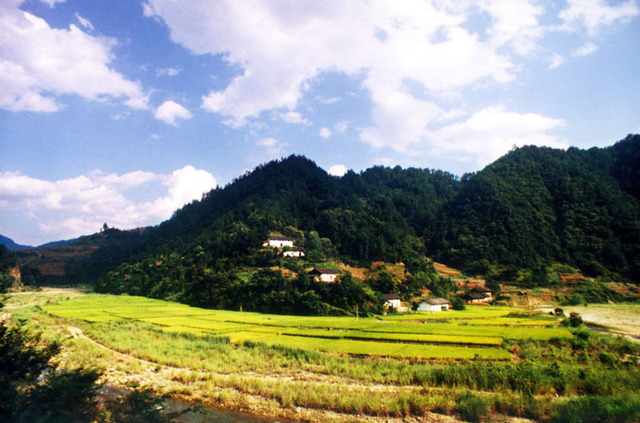 笑谈酒色作品：三峡库区秋色