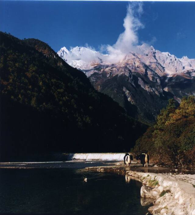 东北雨林作品：云之南1 雪山3