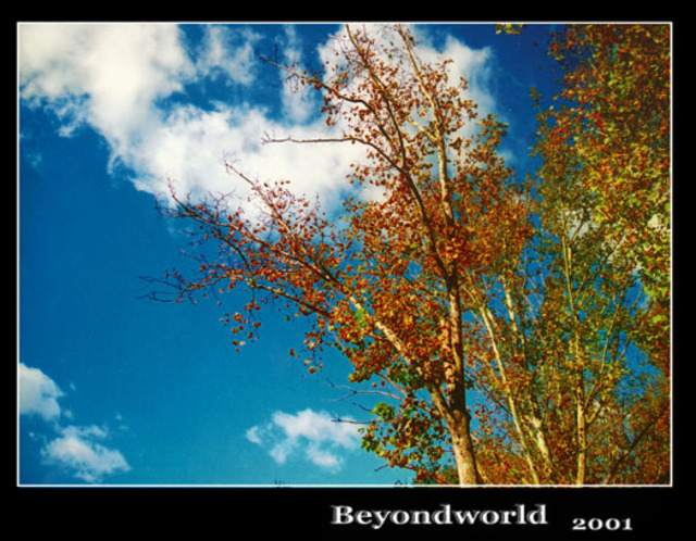 beyondworld作品：秋韵