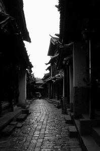 恋上海藻花作品：丽江