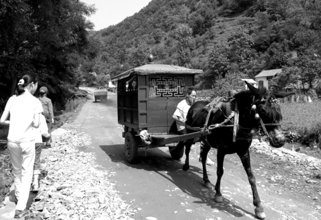 阿番作品：马力轿车