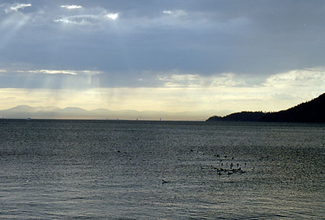 photosz1作品：海