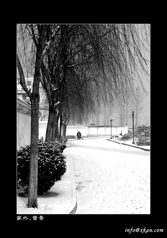 poren作品：黑白雪景