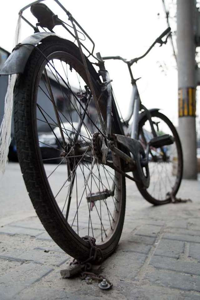 文字论坛 canon slr/dslm论坛 009647   泡菜 