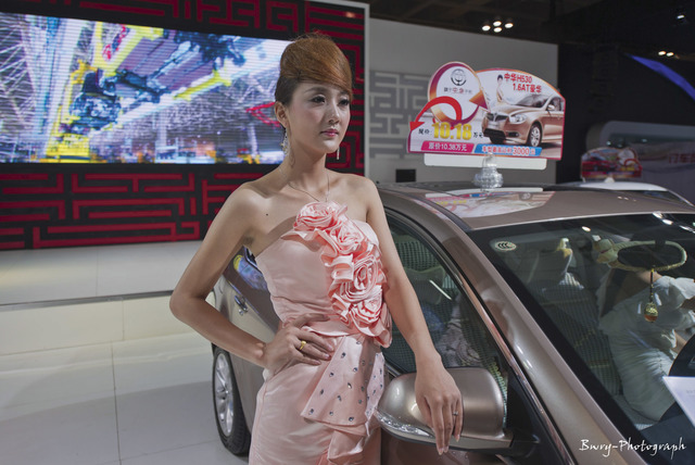 《摄影前后期及输出专业技术与实践》物理参数科普 - nikon slr