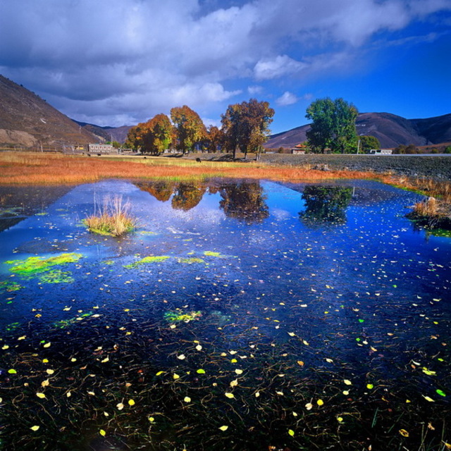 四川大中画幅胶片俱乐部 - 中画幅相机