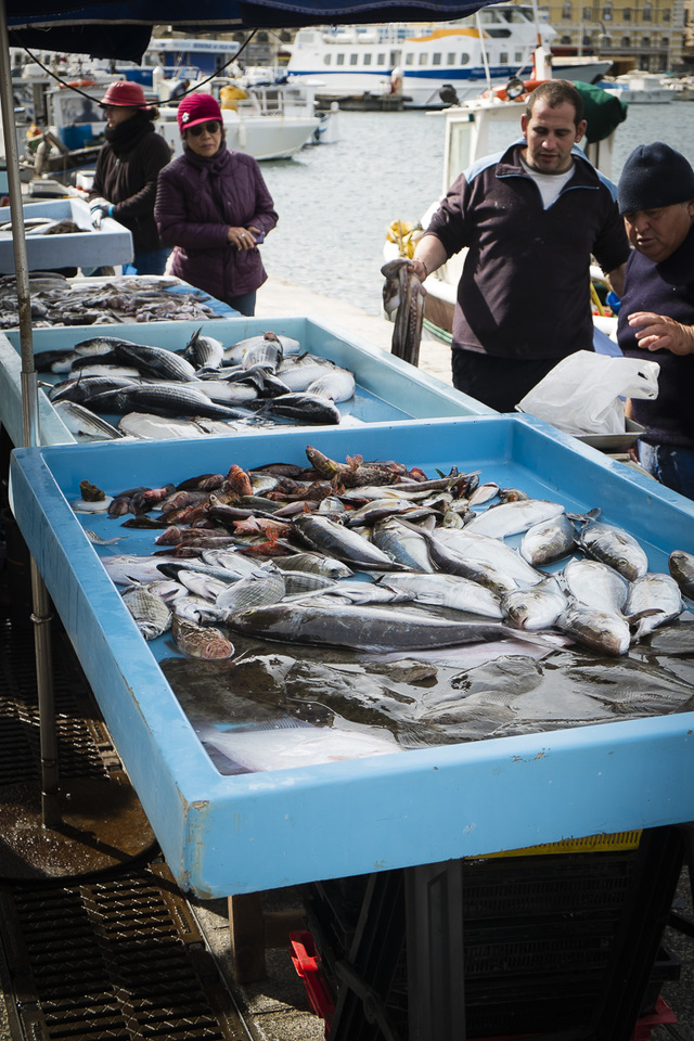 马赛老港(vieux-port)早晨鱼市