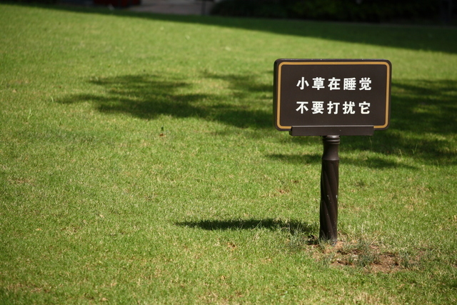 小草在睡觉,不要打扰它