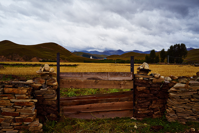 记录在仲堆村的日子——稻城神山下的小村庄 - 行行色色