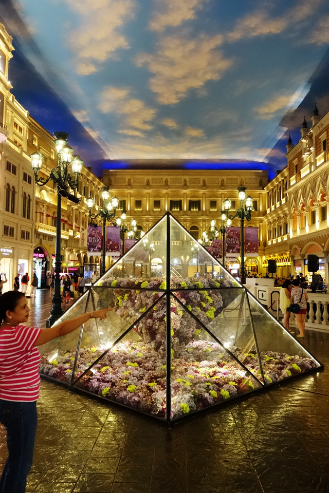 早安!   澳门威尼斯人渡假村圣马可广场