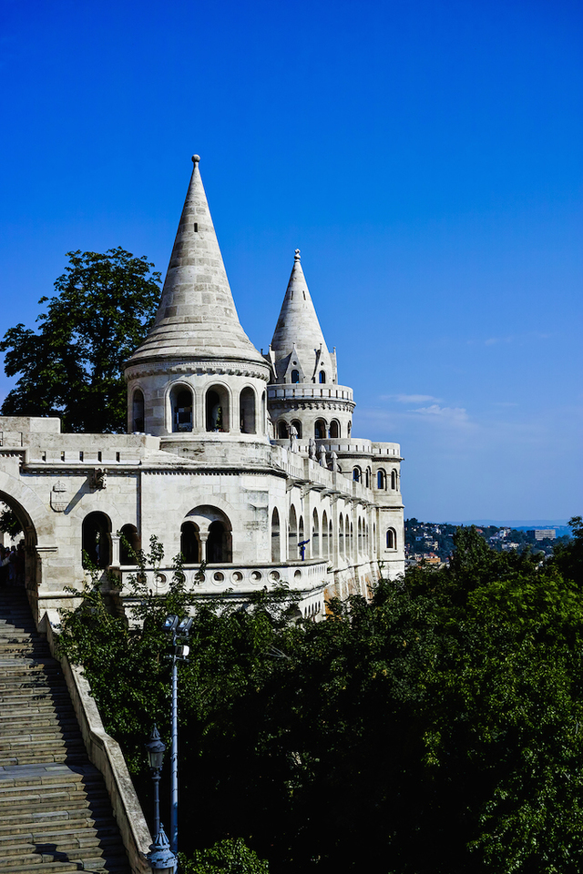 nikon slr/dslm论坛