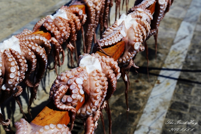 章鱼的脑袋已经不见了.须很粗,大概有女孩子的小臂那么大.