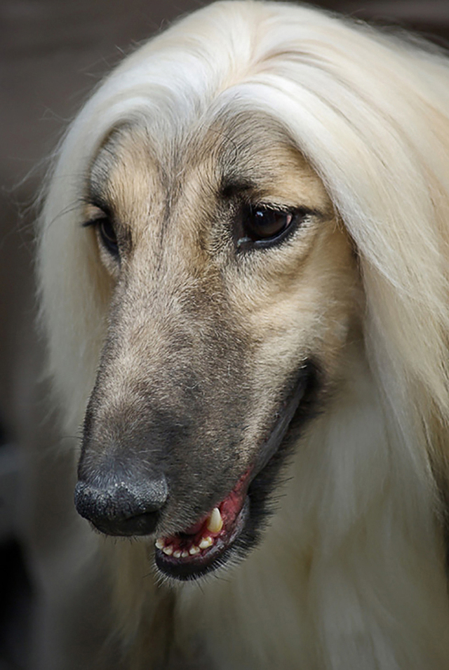 云南宾友,摄友俱乐部---★★(第四季) - pentax slr/dslm论坛