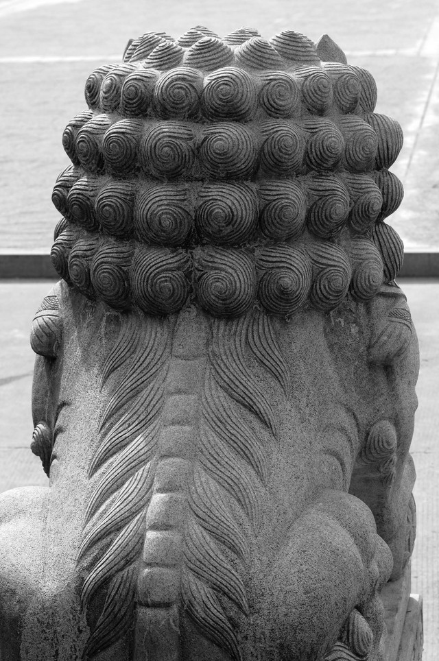 佛寺大门前的石狮.   发型独特.