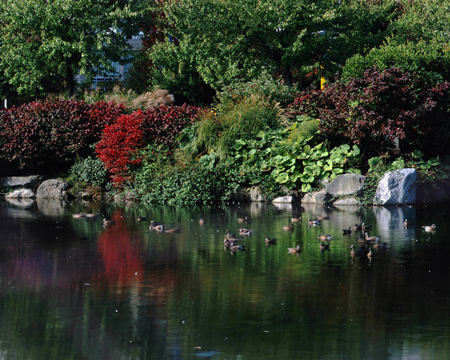 天津大画幅摄影俱乐部Ⅴ - 大画幅相机